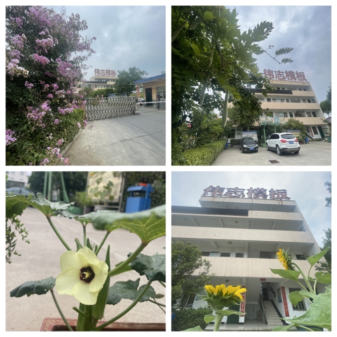 夏至來(lái)臨，期待美好