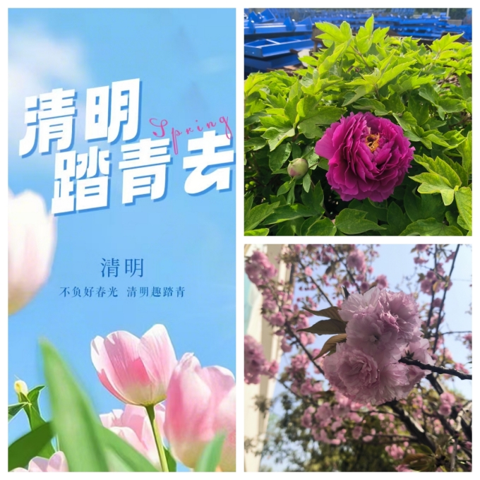 清明節(jié)，去踏春吧